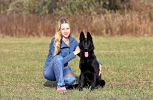 black german shepherd